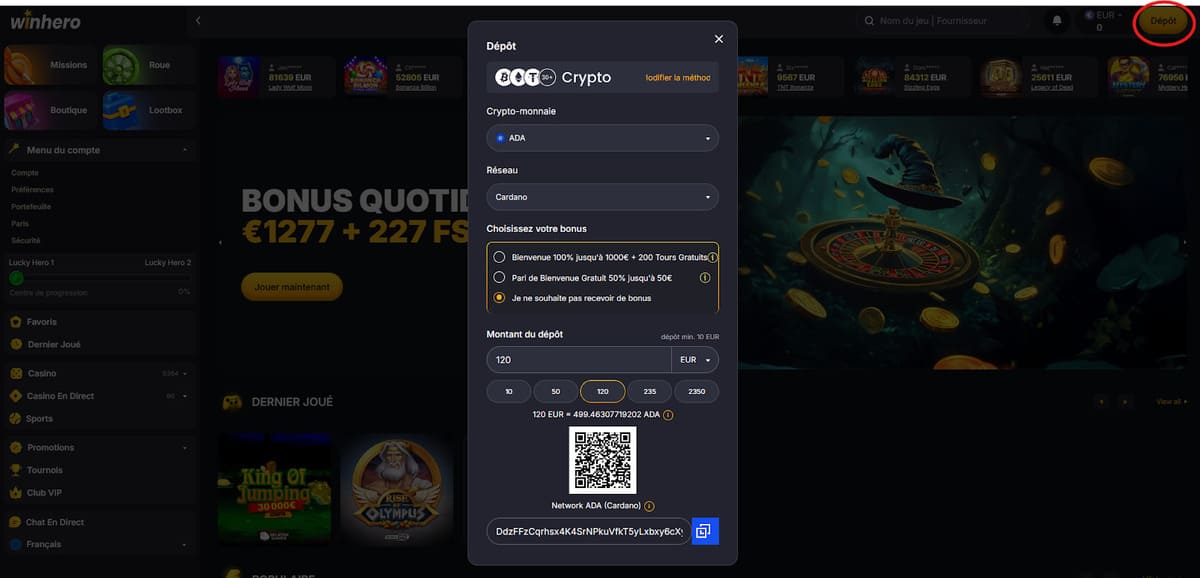 Page des méthodes de dépôt sur Winhero Casino avec les options carte bancaire et crypto