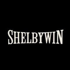 ShelbyWin Casino