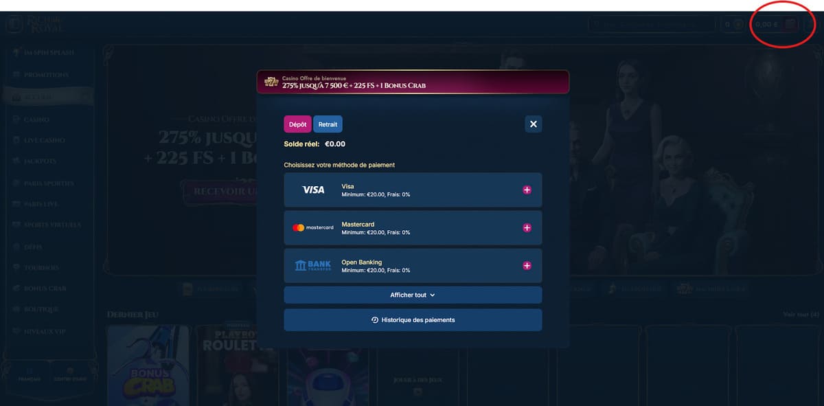 Page de dépôt de RichRoyal Casino affichant les méthodes de paiement disponibles dont les cryptomonnaies