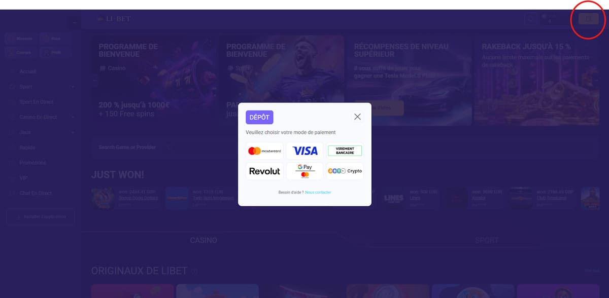 Page de dépôt LiBet Casino affichant les 22 cryptomonnaies et méthodes de paiement acceptées