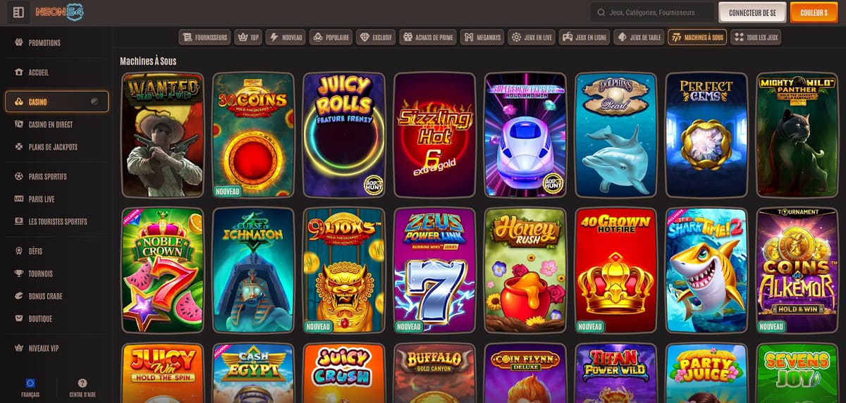 Section machines à sous de Neon54 casino avec les filtres par fournisseur et les vignettes de slots récents