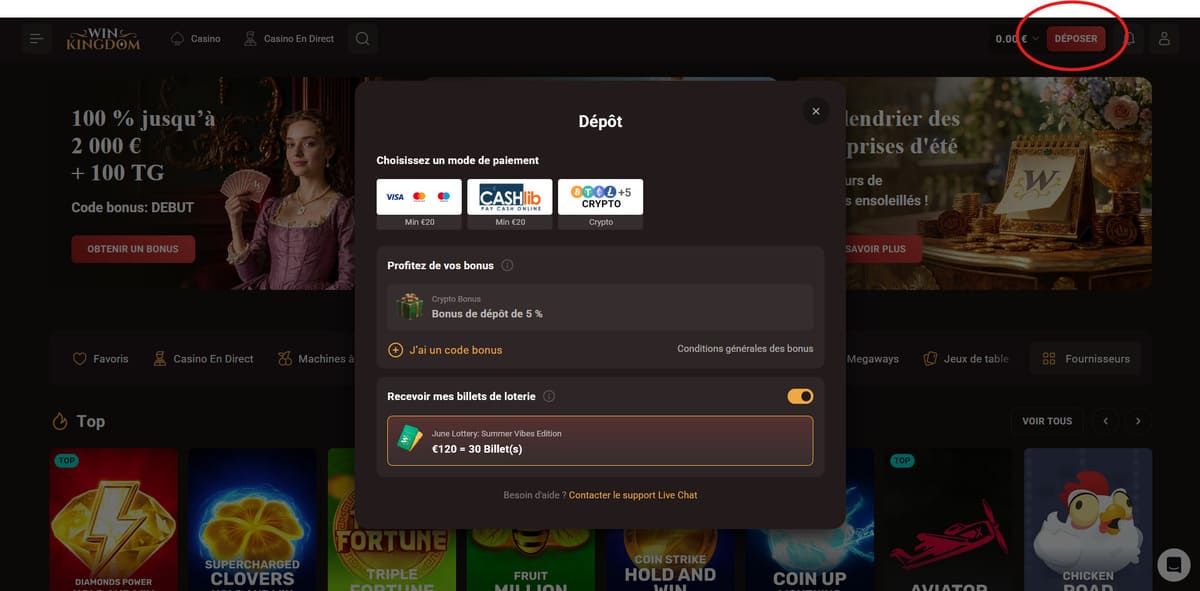 Interface de dépôt de WinKingdom avec les méthodes de paiement dont les cryptomonnaies