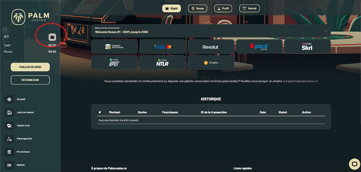 Page de dépôt de Palm Casino avec les méthodes de paiement crypto disponibles