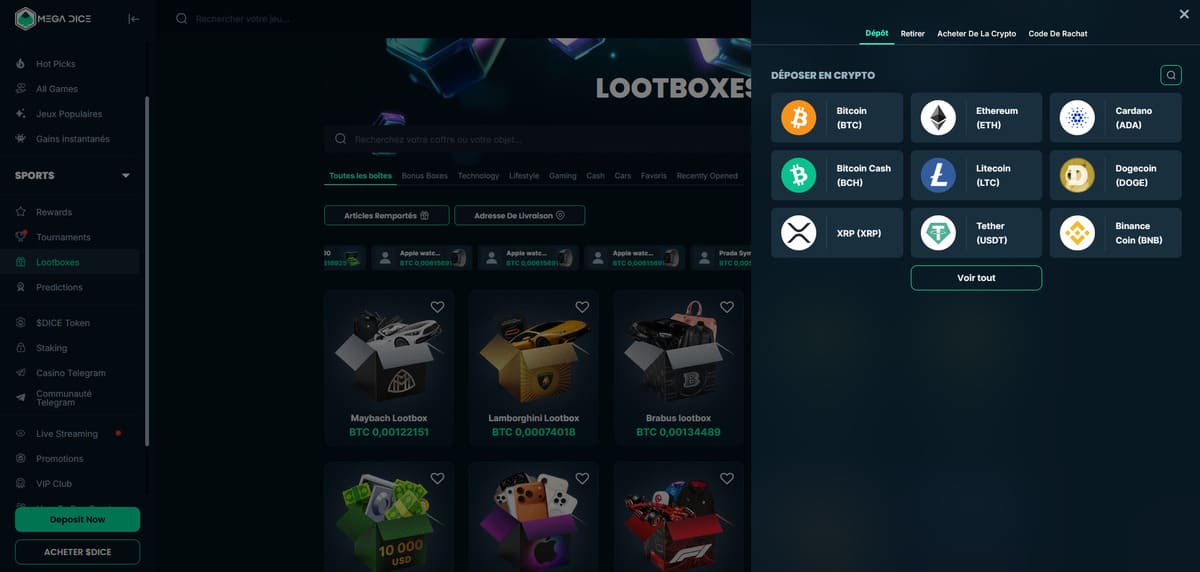 Page de dépôt de Mega Dice listant les cryptomonnaies disponibles comme le Bitcoin et l'Ethereum