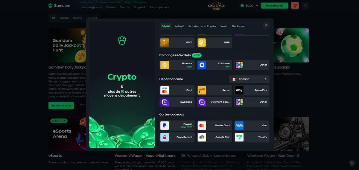 Interface de dépôt de Gamdom listant les cryptomonnaies et moyens de paiement disponibles